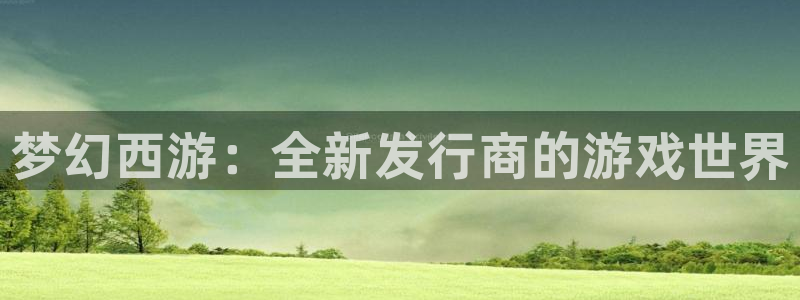 pp电子子酒业：梦幻西游：全新发行商的游戏世界