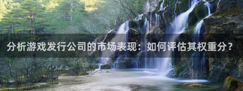 pp电子官网平台代理条件是什么：分析游戏发行公司的市场表现：如何评估其权重分？