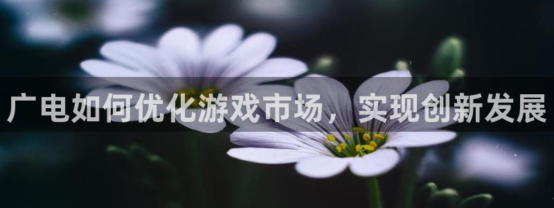 pp电子官网注册平台怎么注册的：广电如何优化游戏市场，实现创新发展