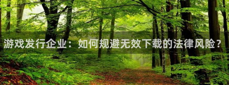 pp电子技术有限公司怎么样：游戏发行企业：如何规避无效下载的法律风险？