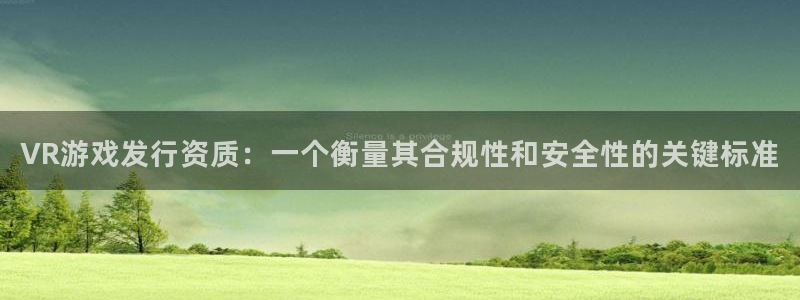 pp电子logo：VR游戏发行资质：一个衡量其合规性和安全性的关键标准