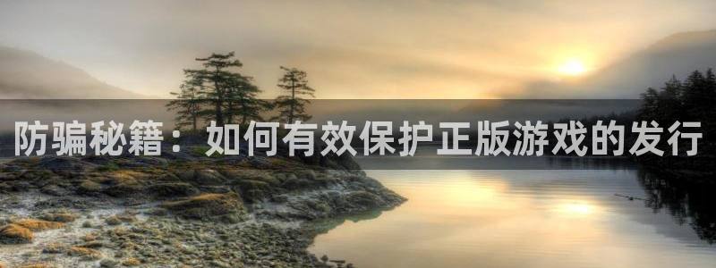 pp电子技术有限公司官网：防骗秘籍：如何有效保护正版游戏的发行