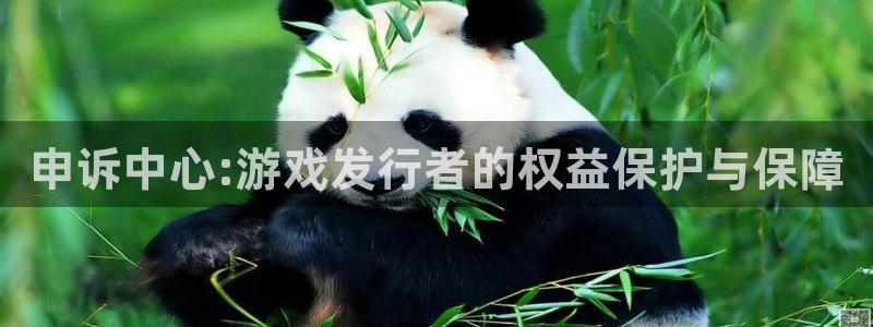 pp电子子 到底怎么样：申诉中心:游戏发行者的权益保护与保障