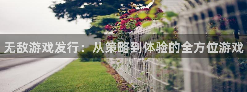 pp电子集团有限公司：无敌游戏发行：从策略到体验的全方位游戏