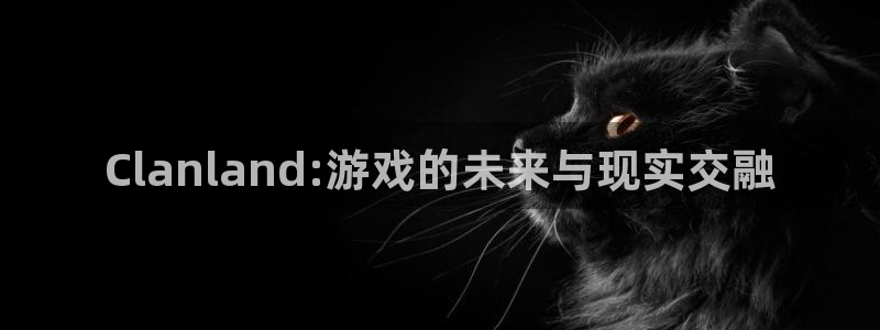 pp电子防水的质量怎么样：Clanland:游戏的未来与现实交融