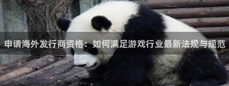 佛山pp电子：申请海外发行商资格：如何满足游戏行业最新法规与规范