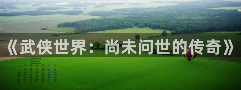 pp电子子代表什么意思：《武侠世界：尚未问世的传奇》