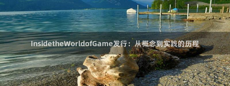 江苏pp电子人力资源有限公司怎么样：InsidetheWorldofGame发行：从概念到实践的历程