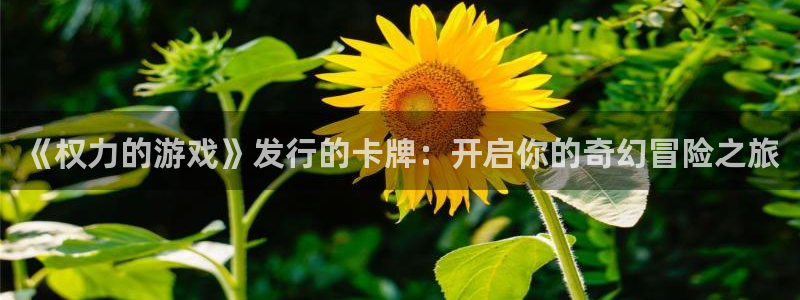 pp电子平台登录入口官网：《权力的游戏》发行的卡牌：开启你的奇幻冒险之旅