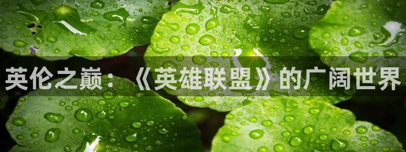 江苏pp电子人力资源有限公司怎么样：英伦之巅：《英雄联盟》的广阔世界