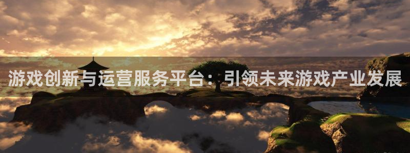 pp电子技术有限公司怎么样