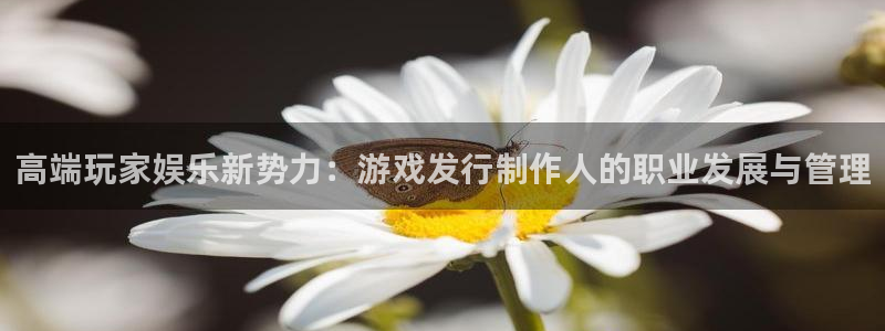 pp电子超纯啤酒怎么样