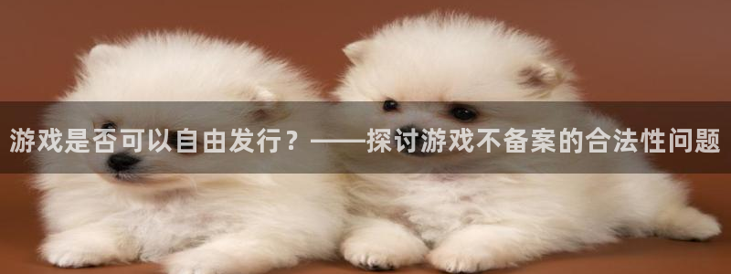 lvncespp电子衣服：游戏是否可以自由发行？——探讨游戏不备案的合法性问题