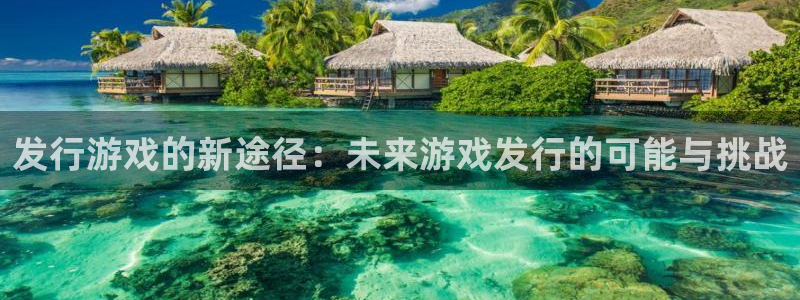 pp电子官网注册方法：发行游戏的新途径：未来游戏发行的可能与挑战