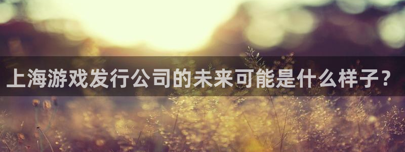 陕西省西安市pp电子子文化创意：上海游戏发行公司的未来可能是什么样子？