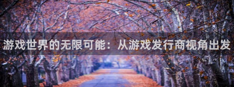 pp电子多少钱：游戏世界的无限可能：从游戏发行商视角出发