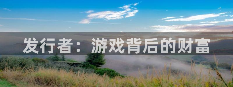 pp电子环境：发行者：游戏背后的财富