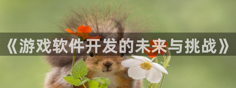 pp电子官网登录注册账号失败怎么回事：《游戏软件开发的未来与挑战》