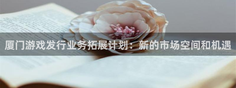 pp电子官网登录注册账号安全吗：厦门游戏发行业务拓展计划：新的市场空间和机遇