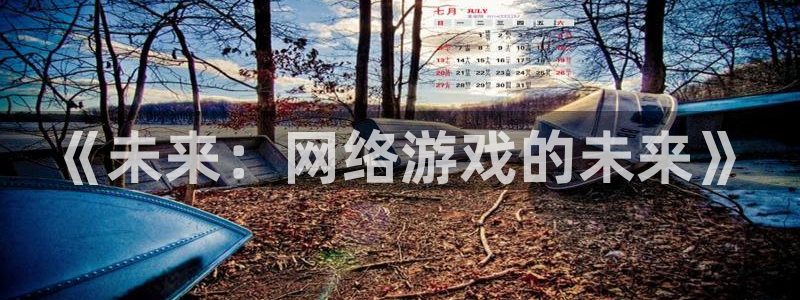 pp电子官网：《未来：网络游戏的未来》