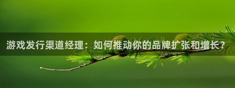pp电子子市值：游戏发行渠道经理：如何推动你的品牌扩张和增长？
