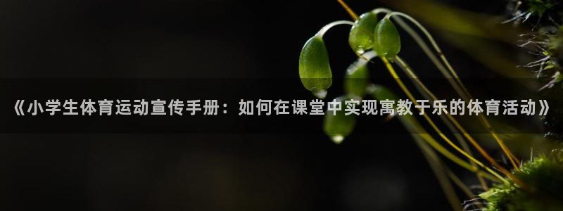 k1体育平台3915