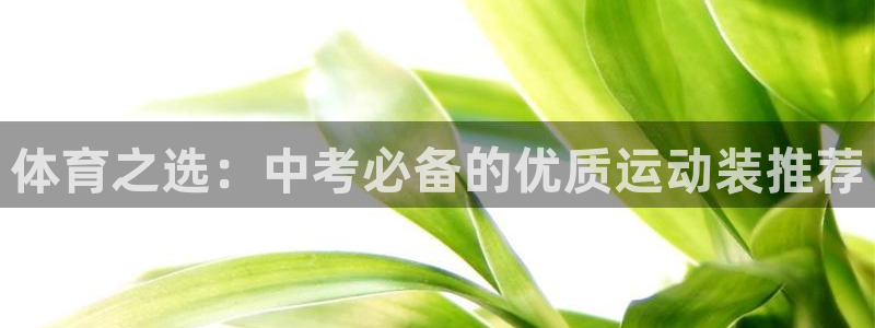 k1体育十年品牌