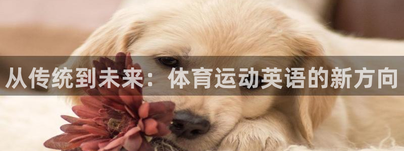 k1体育app官网登录入口