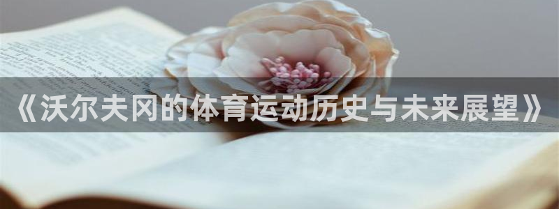 k1体育十年品牌值得信赖网址