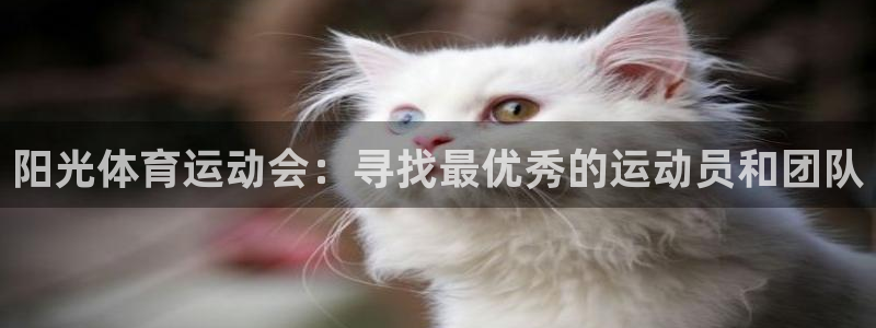 k1体育平台下载
