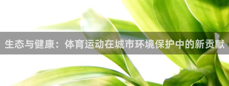 k1体育棋牌网址