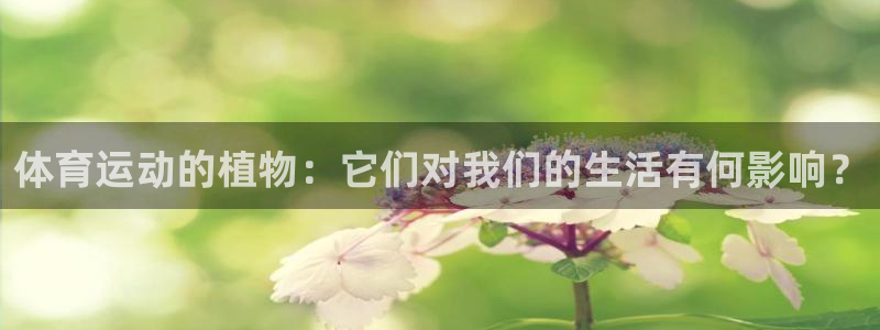 k1体育娱乐